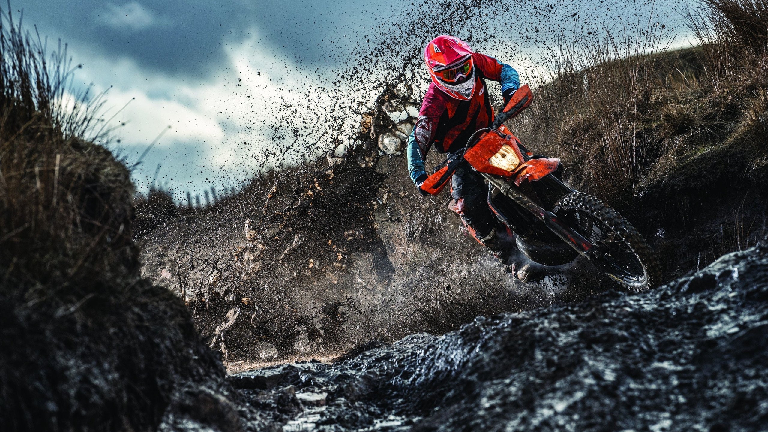 美国女子接力队用实力回应所有质疑，美国女子接力犯规